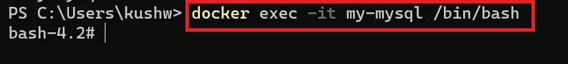 Docker Bash Shell Execution Command | Liferay With Docker Docker Bash Shell Execution Command