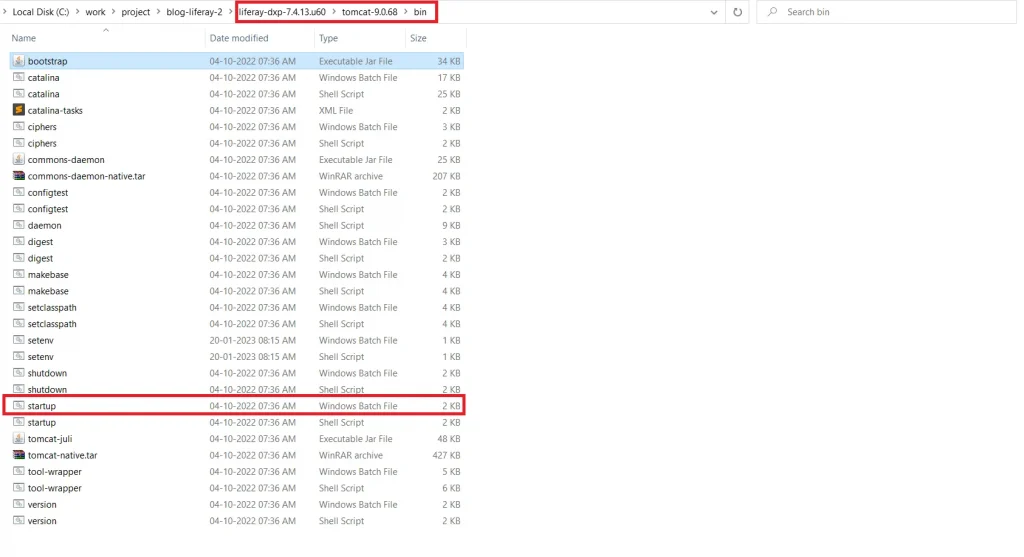 Launch Liferay on Tomcat startup script