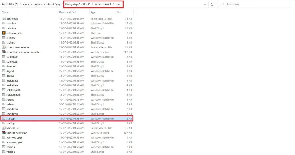 Startup file in bin folder of Liferay tomcat