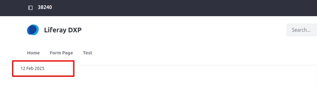 Customized Date | Creating and Using Information Templates for Liferay Object Customized_Date