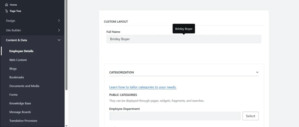 Object entry in liferay | Powering Liferay Object Views Category-Based Filtering Object entry in liferay